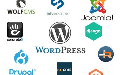 Why is there a better than 60% chance that you use the WordPress CMS?